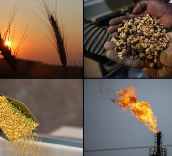 Screenshot 2024-10-13 113111